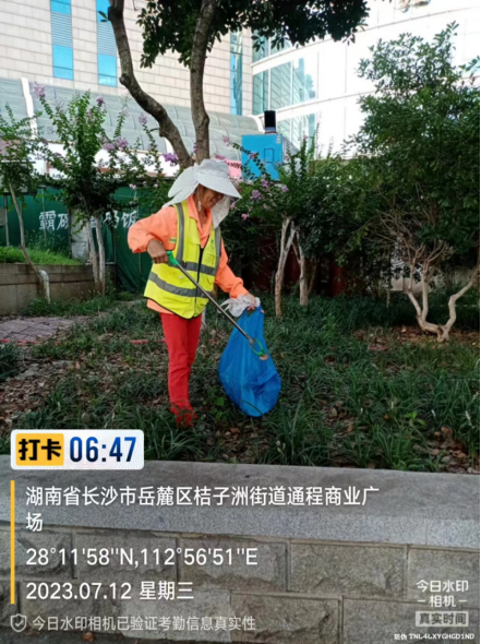 桔子洲街道市政園林維護工程
