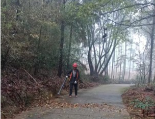金山橋街道清掃保潔